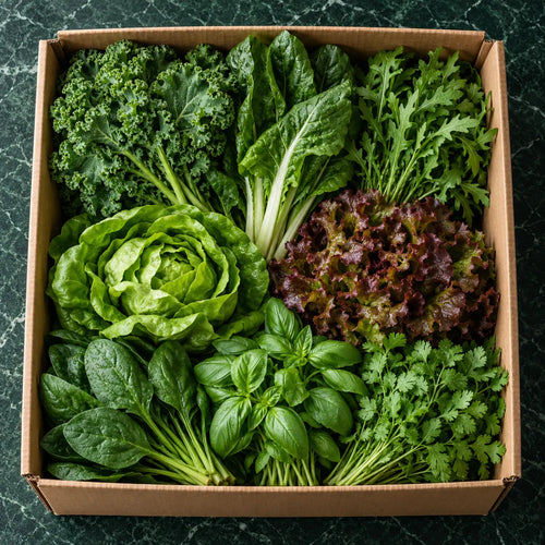 Leafy Luxe Pack packed in its box