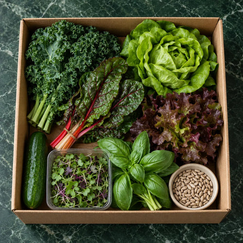 Light-Weight Pack — 600g packed in its box